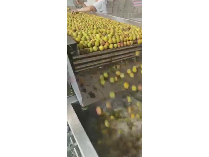 视频展示