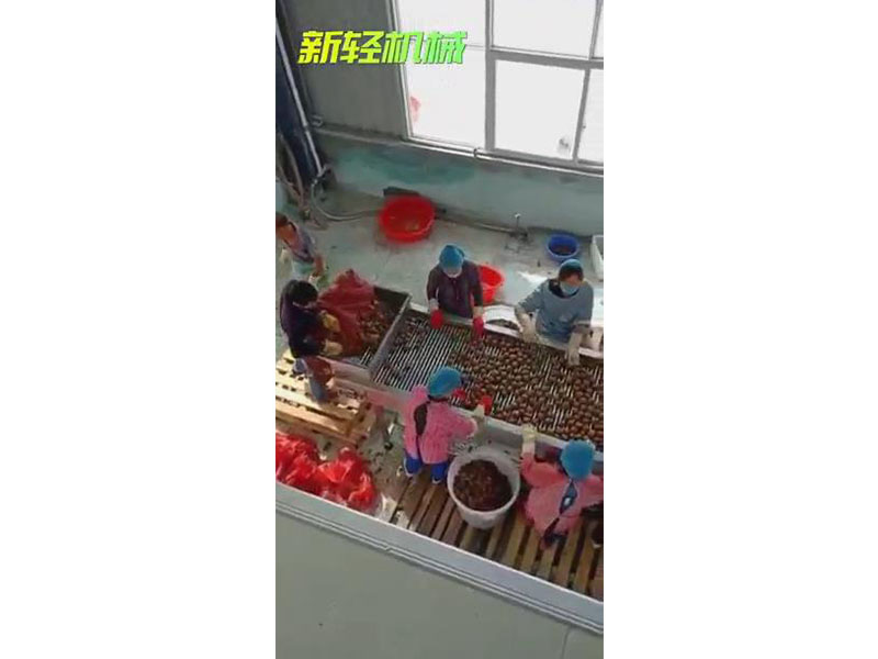 视频展示