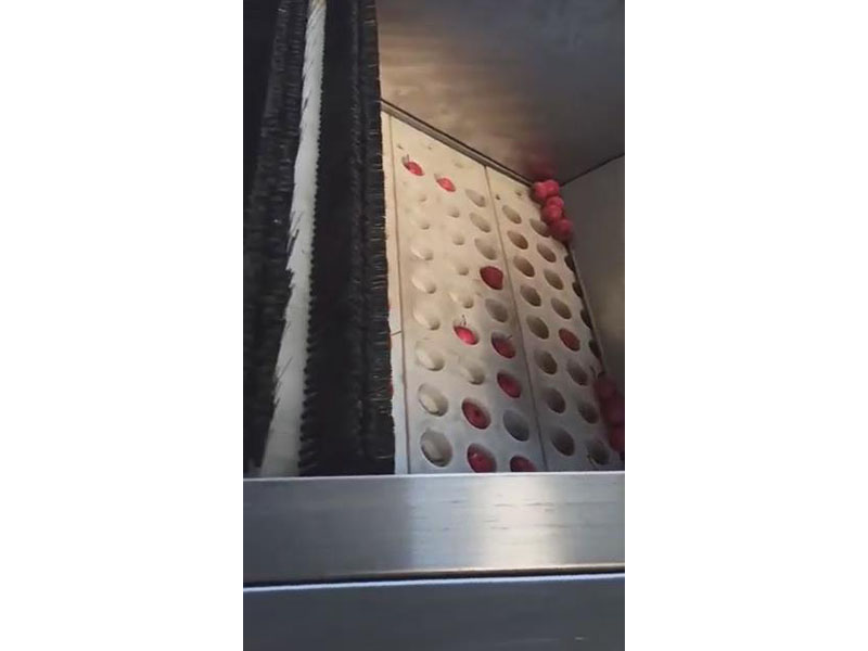 视频展示